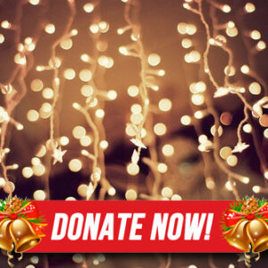 Christmas Lights Donation